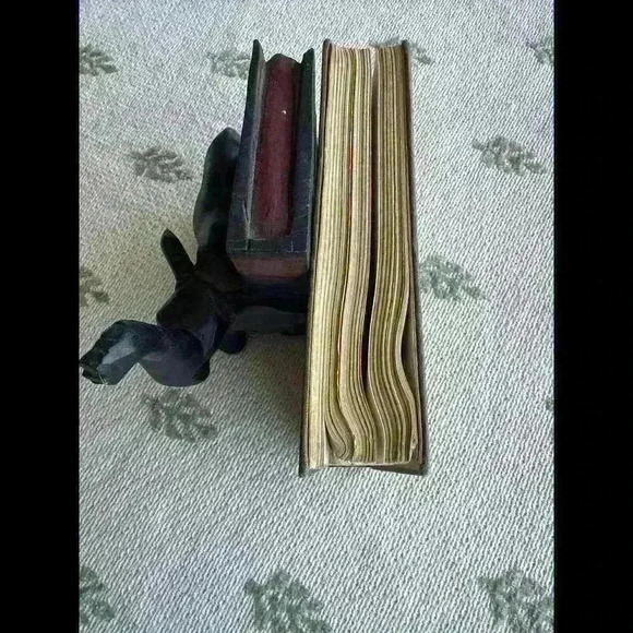 The Adventures of Old Mr. Toad 1929 - Picture 6 of 6